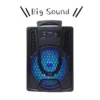 GTS 1670 20 cm Wireless Bluetooth Speaker with USB port SD card FM radio